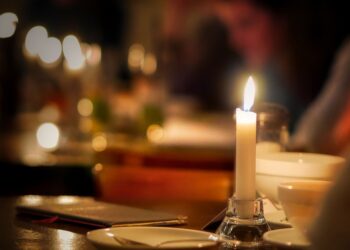 Top Scenic Drives for Nature Enthusiasts