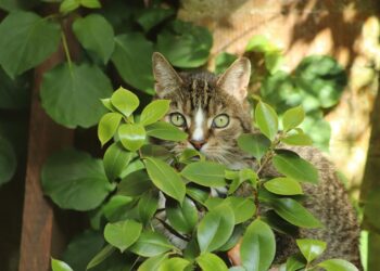 Must-See Hidden Gems in 2024