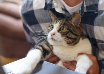 Remote Beaches for Thrilling Surf Adventures