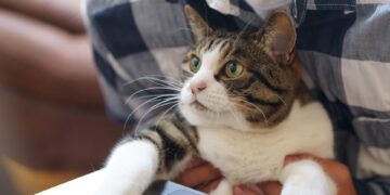 Remote Beaches for Thrilling Surf Adventures