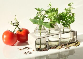 Top Guides for Iconic Historical Routes