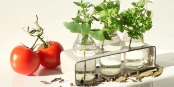 Top Guides for Iconic Historical Routes