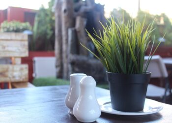 Top Safety Tips for Nightlife Abroad