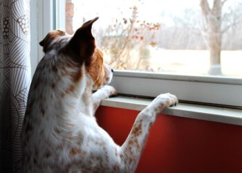 The Most Anticipated Travel Events of 2024