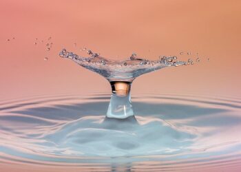 The Impact of Rising Fuel Prices on Air Travel