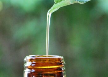 Essential Guides for Arctic Expeditions