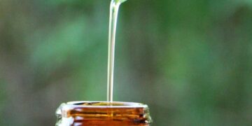 Essential Guides for Arctic Expeditions