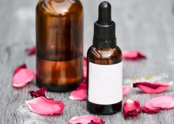 Essential Guides for Local Culinary Delights