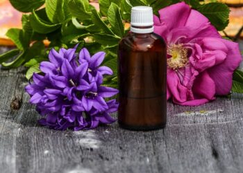 Essential Safety Tips for Using Rental Vehicles