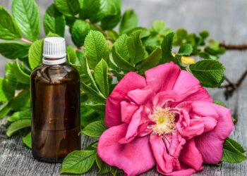 Essential City Guides for Budget Explorers