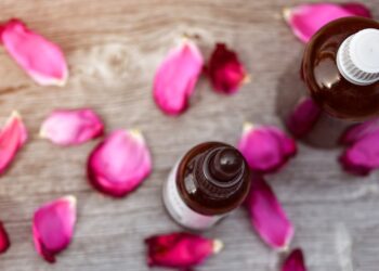 Essential Guides for Exploring Unique Fjords