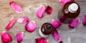 Essential Guides for Exploring Unique Fjords