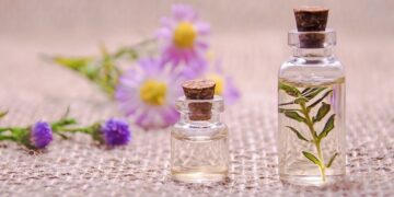 Essential Guides for Jungle Exploration