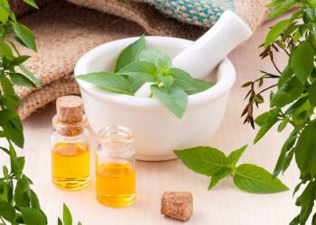 Essential Tips for Traveling with Disabilities