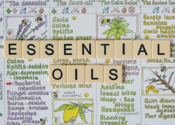 Essential Travel Guides for Nightlife Lovers