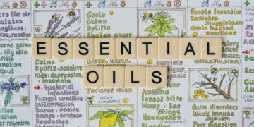 Essential Travel Guides for Nightlife Lovers