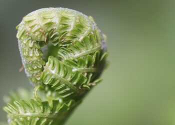 Best Tips for Keeping Emergency Contacts Updated