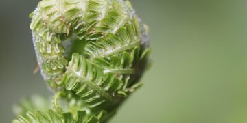 Best Tips for Keeping Emergency Contacts Updated