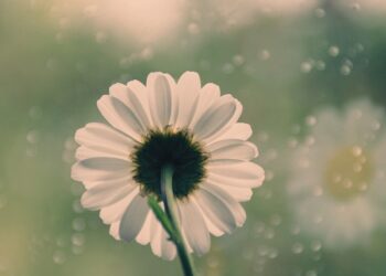 How to Stay Safe When Traveling in Groups