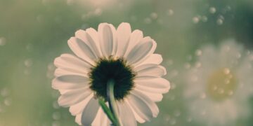 How to Stay Safe When Traveling in Groups