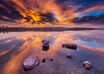 Incredible Travel Ideas for Adventure Cruises