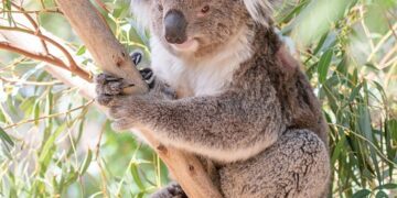 Iconic Rock Formations to Climb and Explore