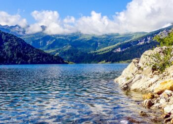 Incredible Wildlife Encounters Worldwide