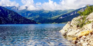 Incredible Wildlife Encounters Worldwide