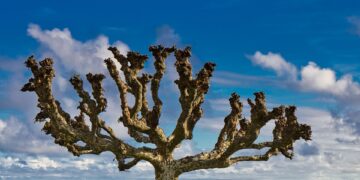 Best Tips for Safe Travel to Developing Countries