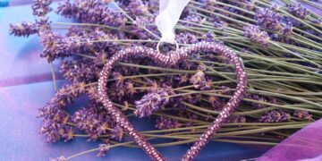 Essential Tips for Managing Travel Anxiety