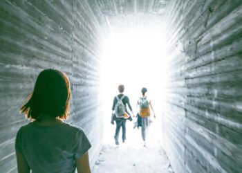 Ultimate Guides for Unique Wildlife Parks