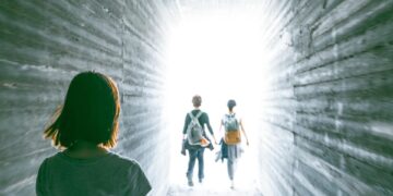 Ultimate Guides for Unique Wildlife Parks