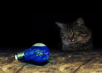 Top Tips for Managing Unexpected Travel Cancellations