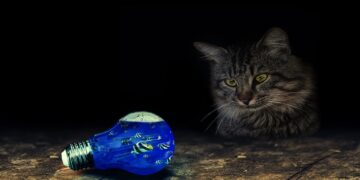 Top Tips for Managing Unexpected Travel Cancellations