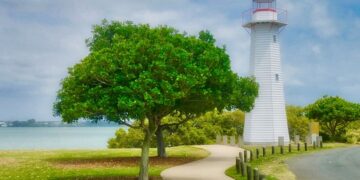 Comprehensive Guides for Desert Road Trips