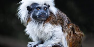 Top Tips for Preventing Illness While Traveling