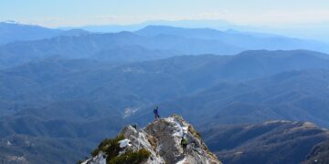 Top Jungle Canopy Walks Worth Visiting