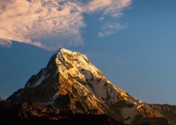 Ultimate Travel Guides for Unique Festivals