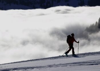 The Rise of Wellness Travel and What It Means for You