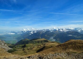 Top Safety Tips for Traveling in Large Cities