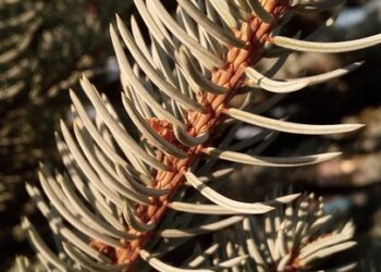 Unforgettable Glacier Expeditions to Experience