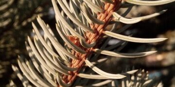 Unforgettable Glacier Expeditions to Experience