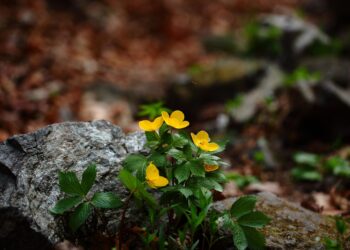 How to Avoid Overcrowded Tourist Spots