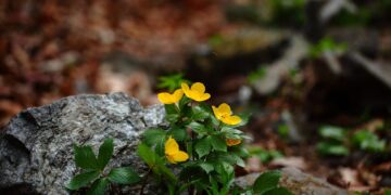 How to Avoid Overcrowded Tourist Spots