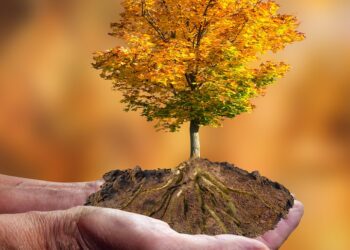 How to Protect Your Identity While Traveling