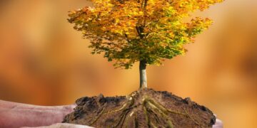 How to Protect Your Identity While Traveling