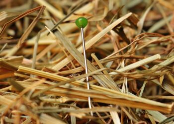 How to Find the Best Local Experiences on Your Travels