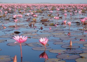 Unexplored Wilderness Destinations Worth Visiting