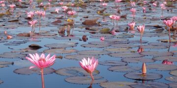 Unexplored Wilderness Destinations Worth Visiting