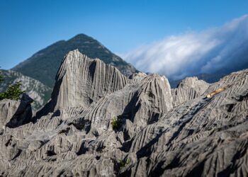 Best Travel Guides for Coastal Adventures